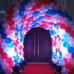 VIP Entrance Tunnel Balloon Arch